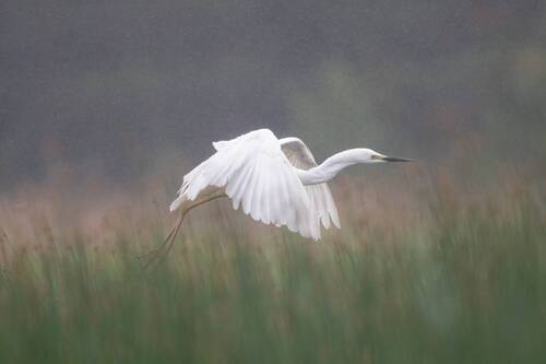 Мелкий дождик не помеха // A light rain is not a hindrance