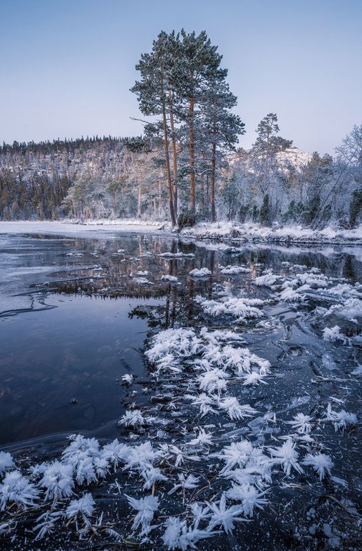 фото превью