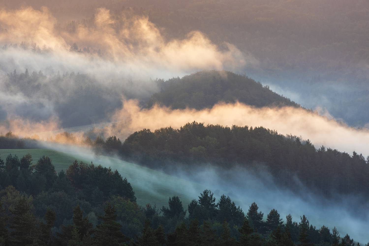 ,  Mirosław Pruchnicki