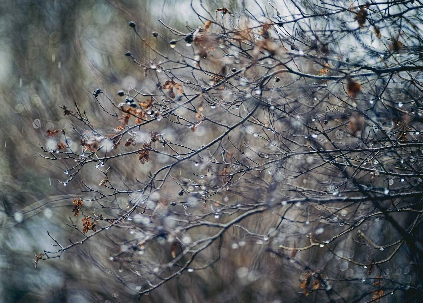 , Орлов Олег