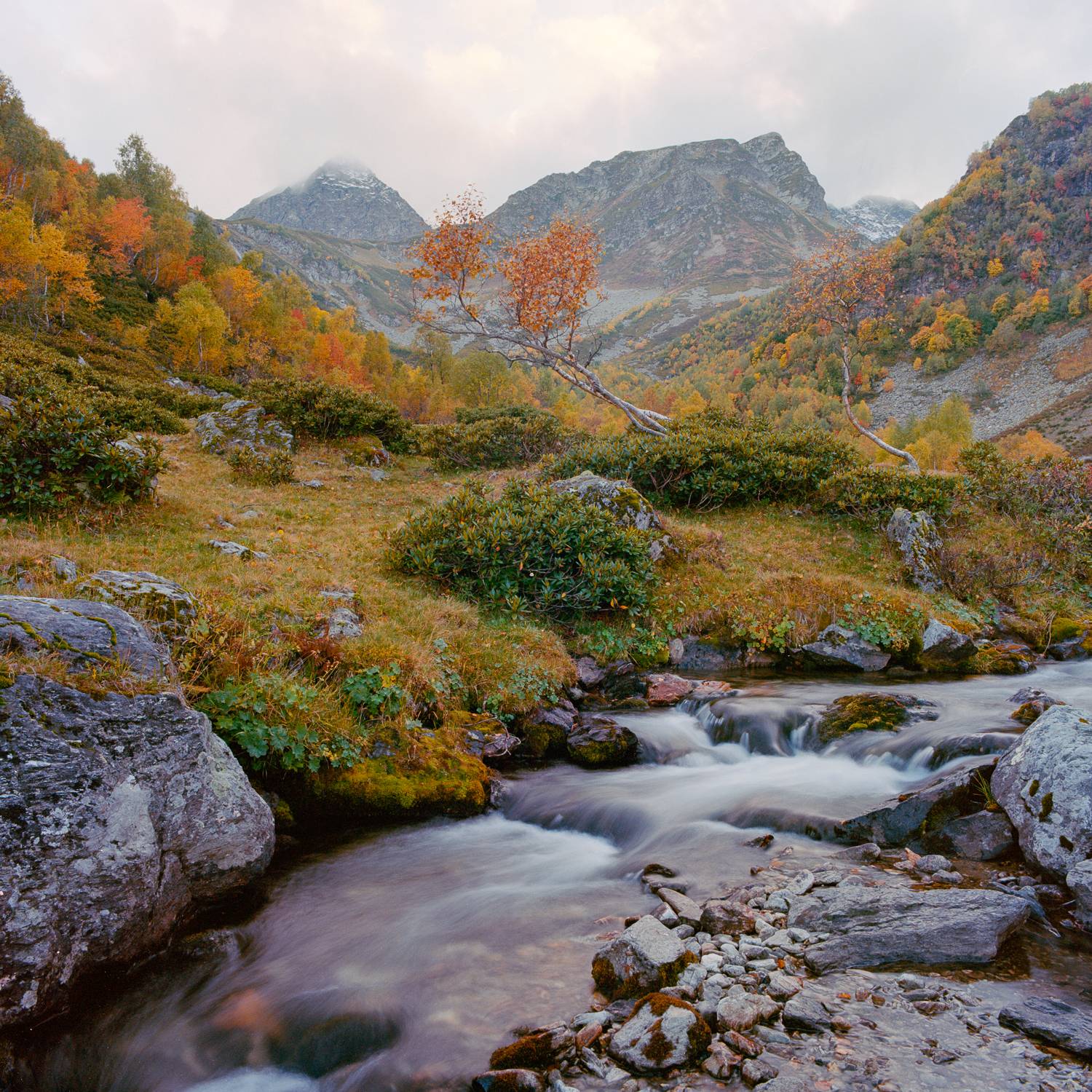 , Слава Азаров