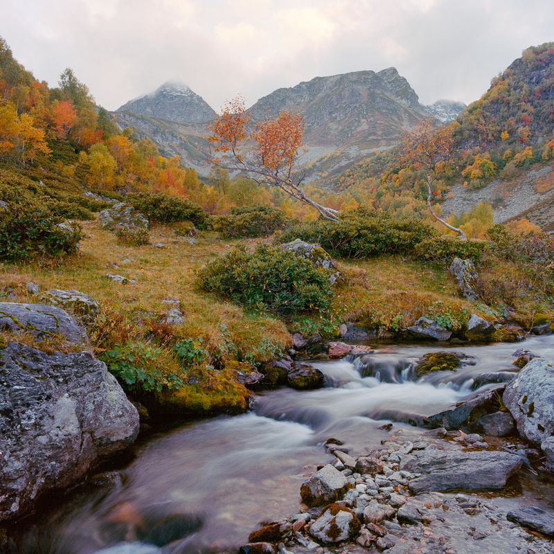 Дуги фото превью
