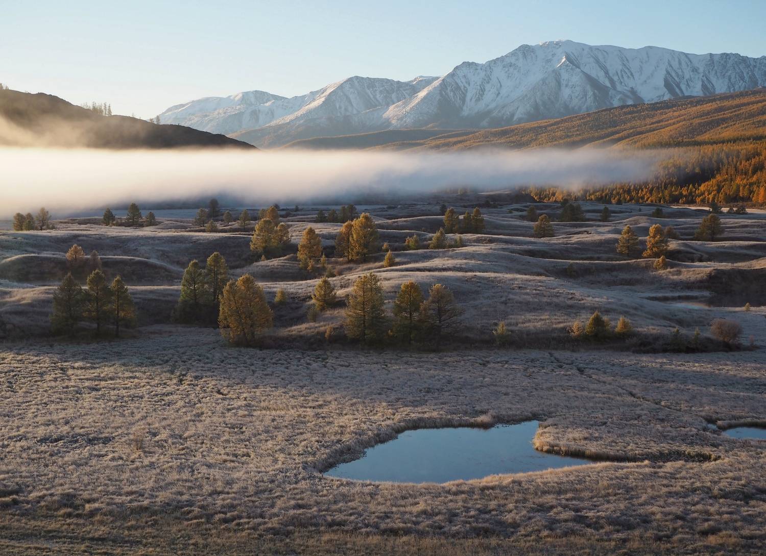 , Яковлев Евгений