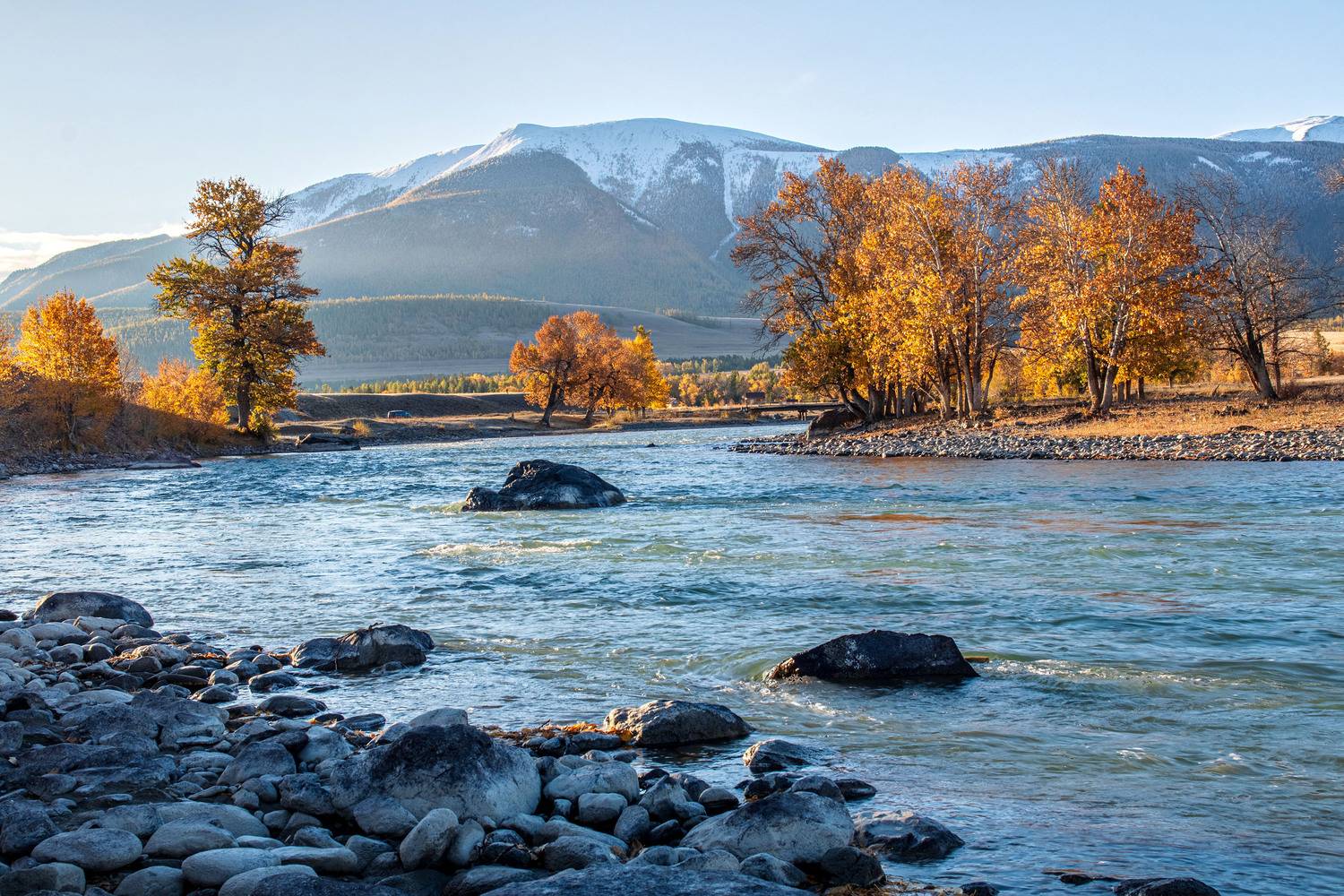 алтай, Добролюбова Тамара