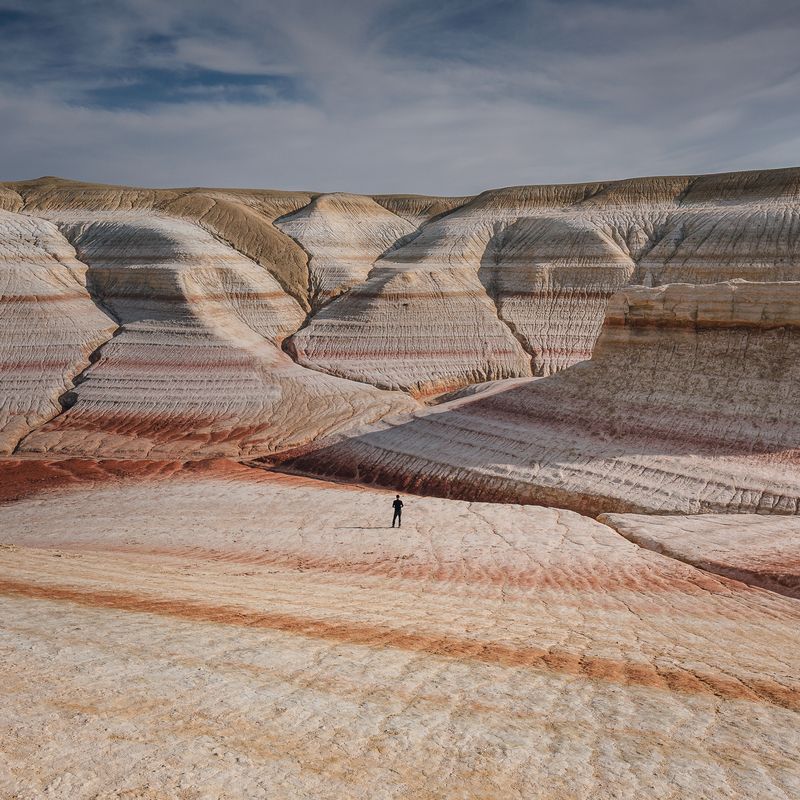 Last of us фото превью