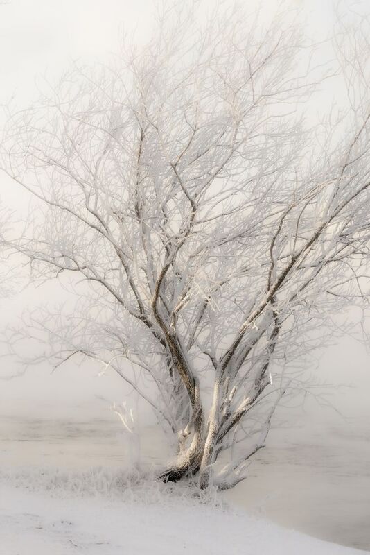 Укутанное покрывалом фото превью