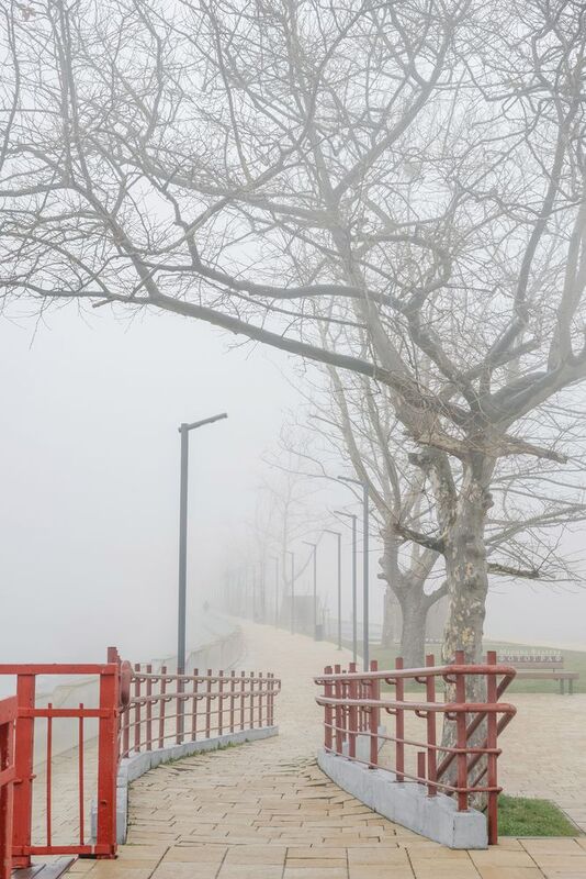 туман, город, прогулка, набережная Туманная гармония фото превью