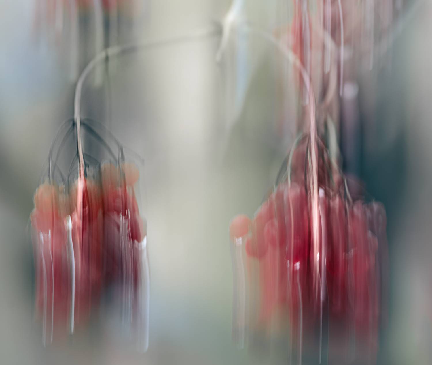 icm, Неля Рачкова