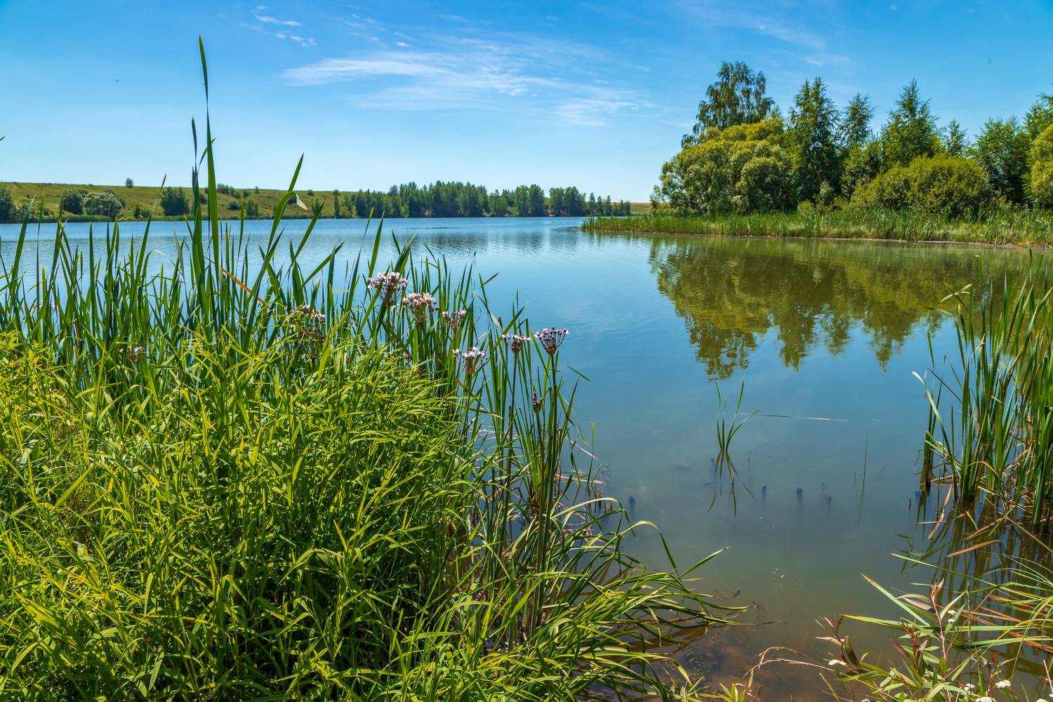 , Юрий Морозов