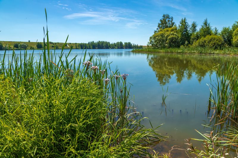 Зной фото превью