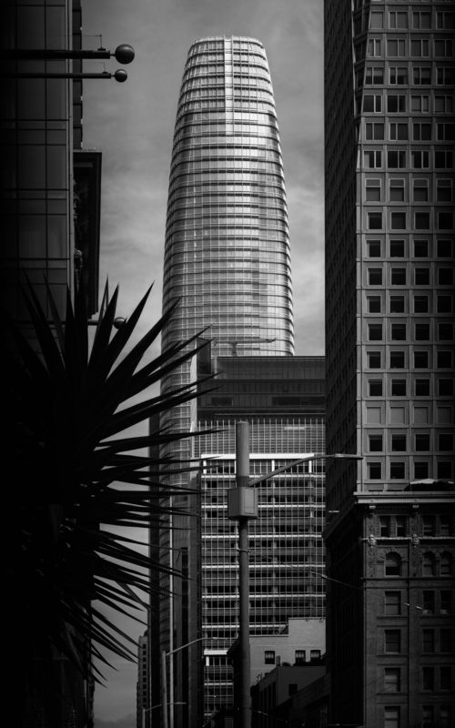 Hidden III фото превью