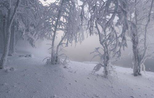 Первый день зимы