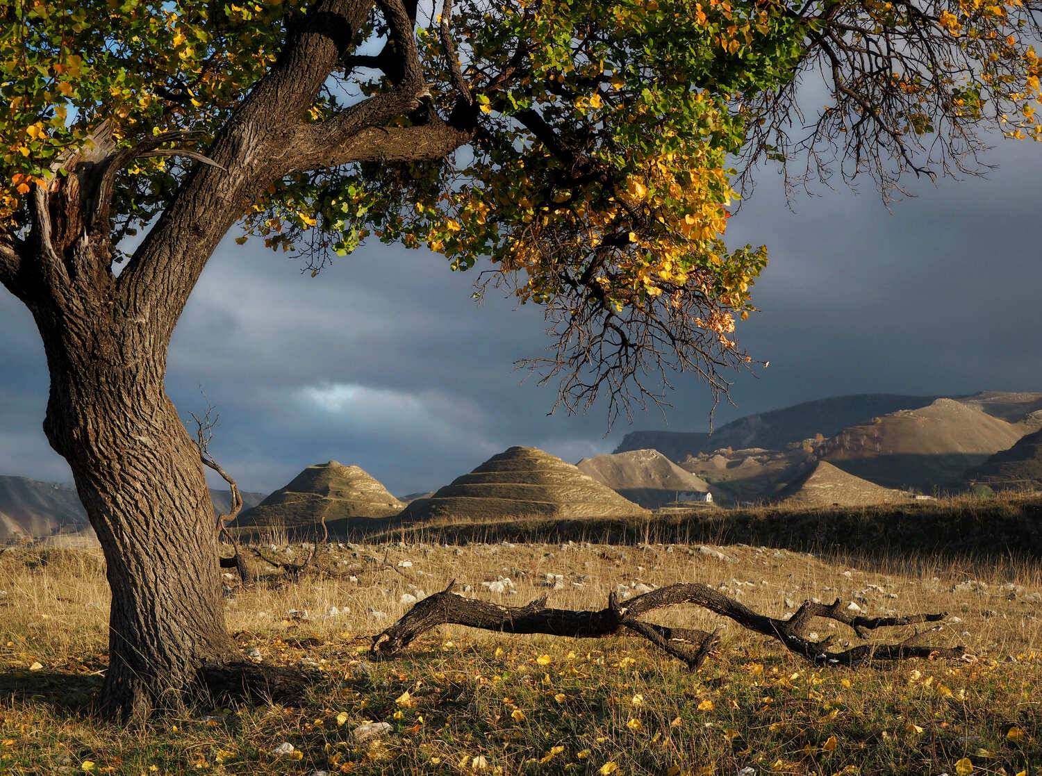 , Яковлев Евгений
