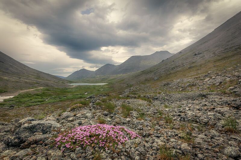 Чаша перевала Кукисвумчорр. Хибины фото превью
