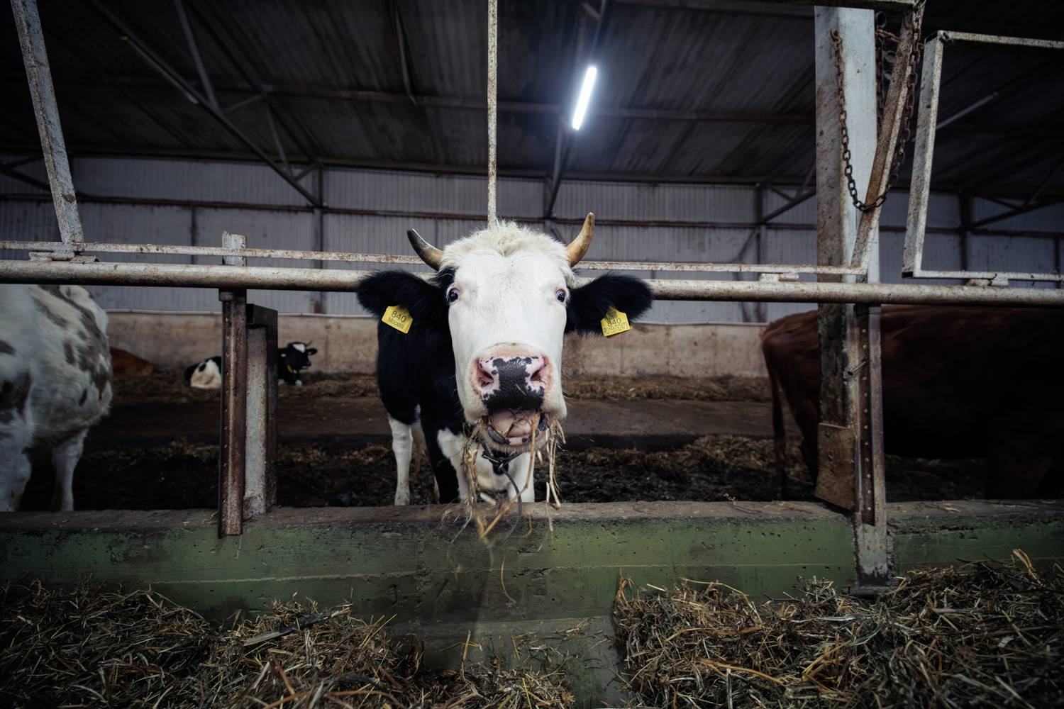 , ssmirs Сергей