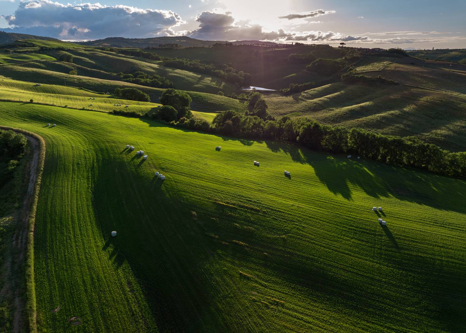 , Алекс Римский
