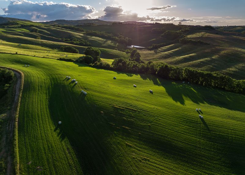 Зелёные поля фото превью