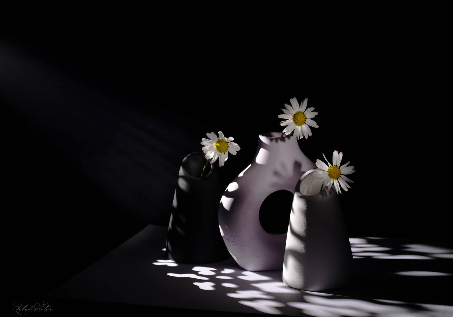 , Виктор Лебедь