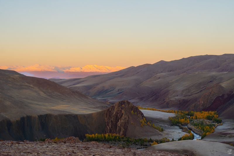 алтай Урочище Кокоря фото превью