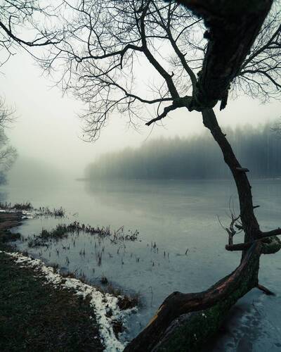 Туманный день на берегу замёрзшей реки (6)