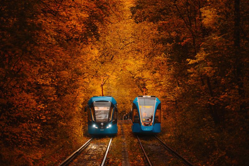 осень, трамваи, москва, россия, улица, street, russia, autumn Осенние трамвайчики фото превью