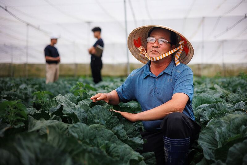 Фермеры Вьетнама фото превью