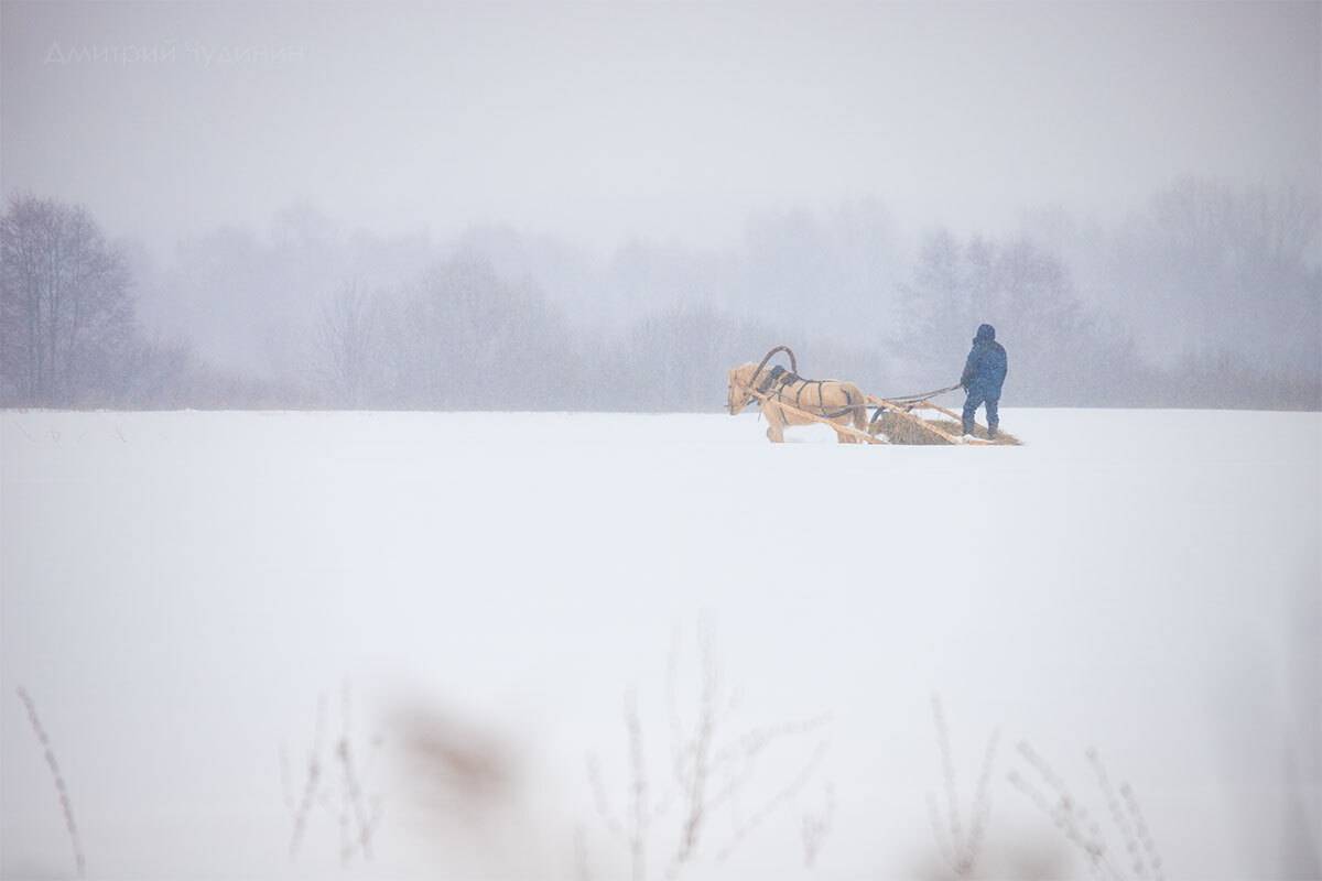 , Чудинин Дмитрий