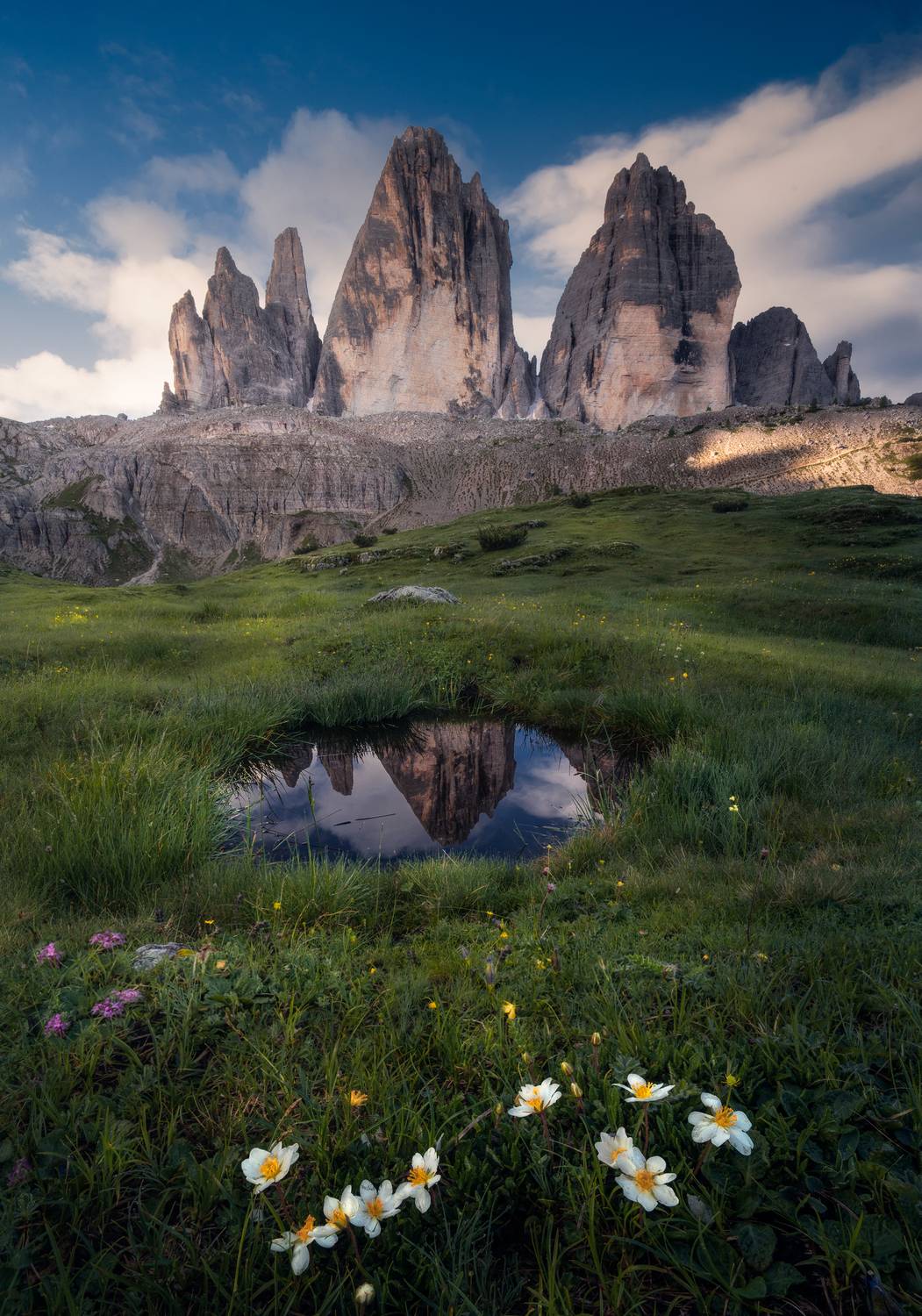 , Вукотић Никола