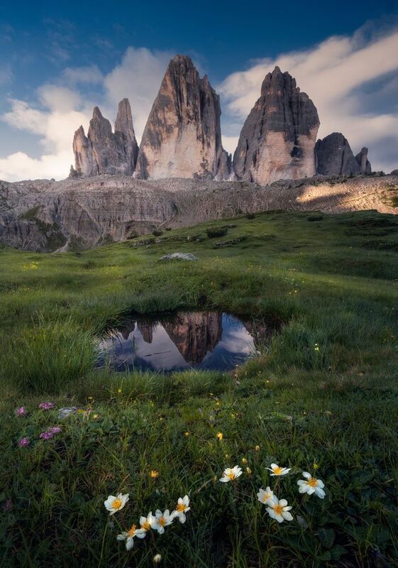 фото превью