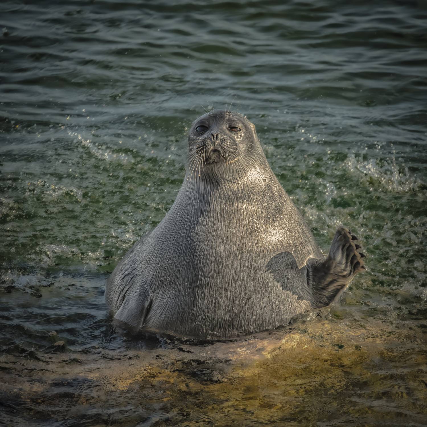 , Лаврентьев Александр