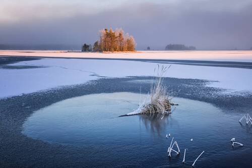 Про носатых и лохматых ёжиков...