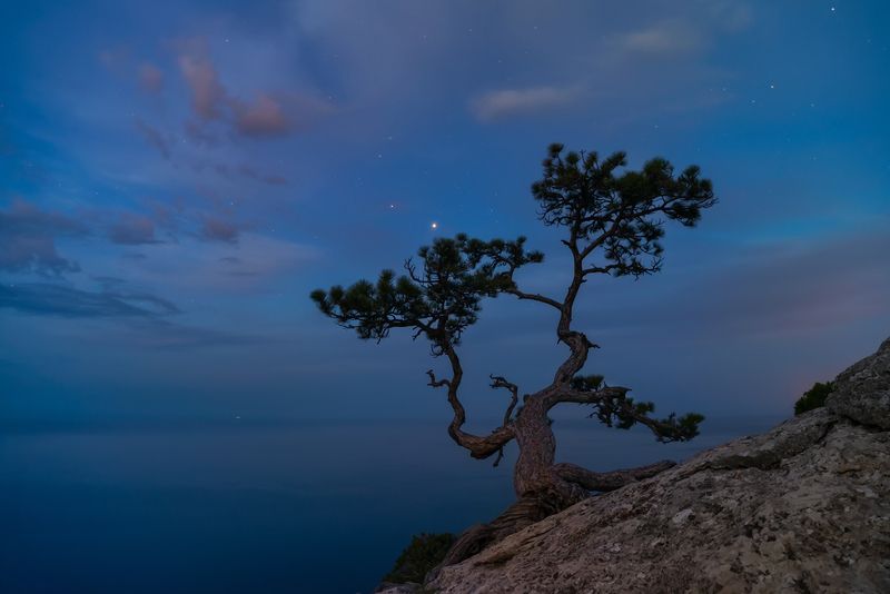 Звёздное утро фото превью