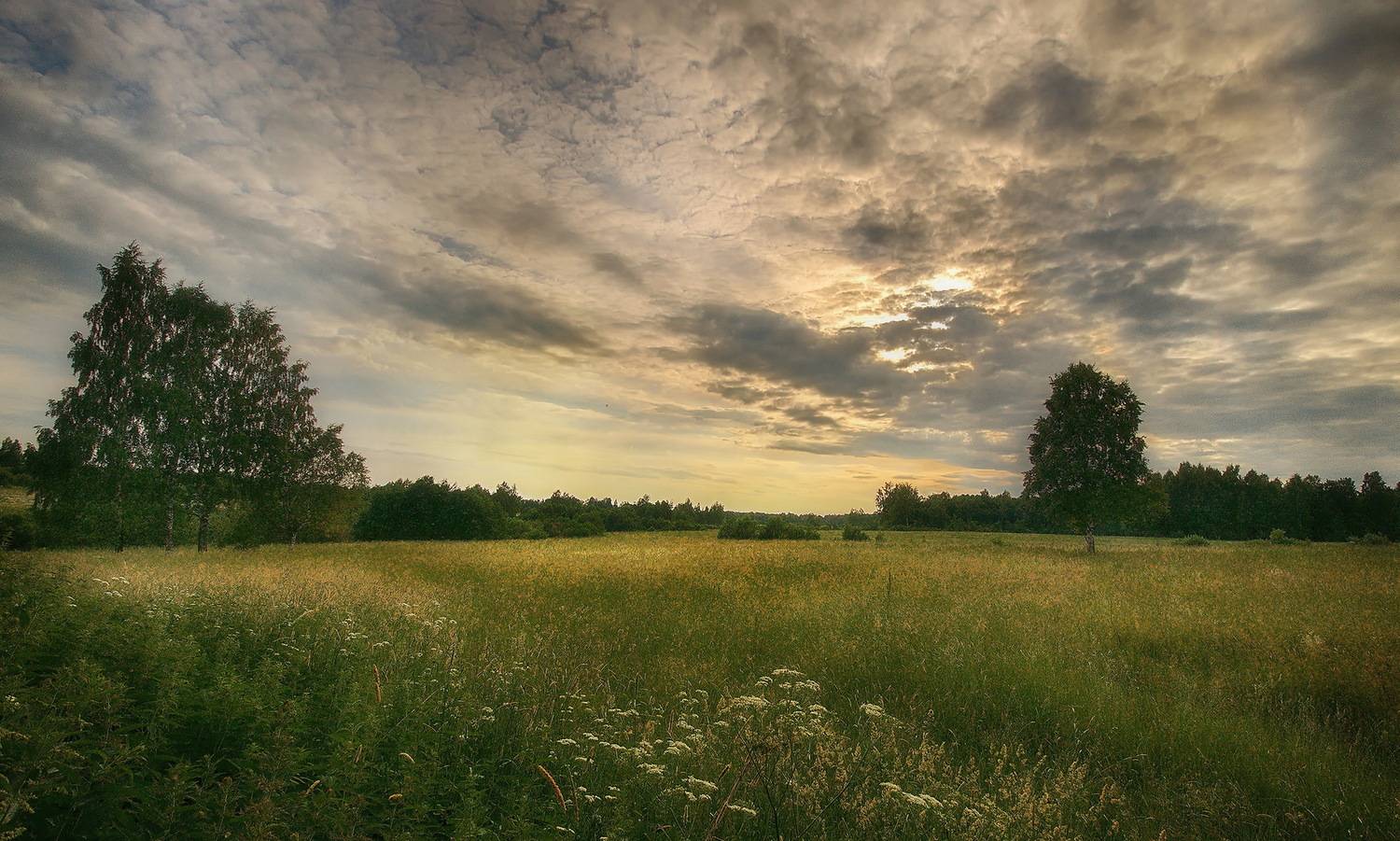 , Сергей Аникин