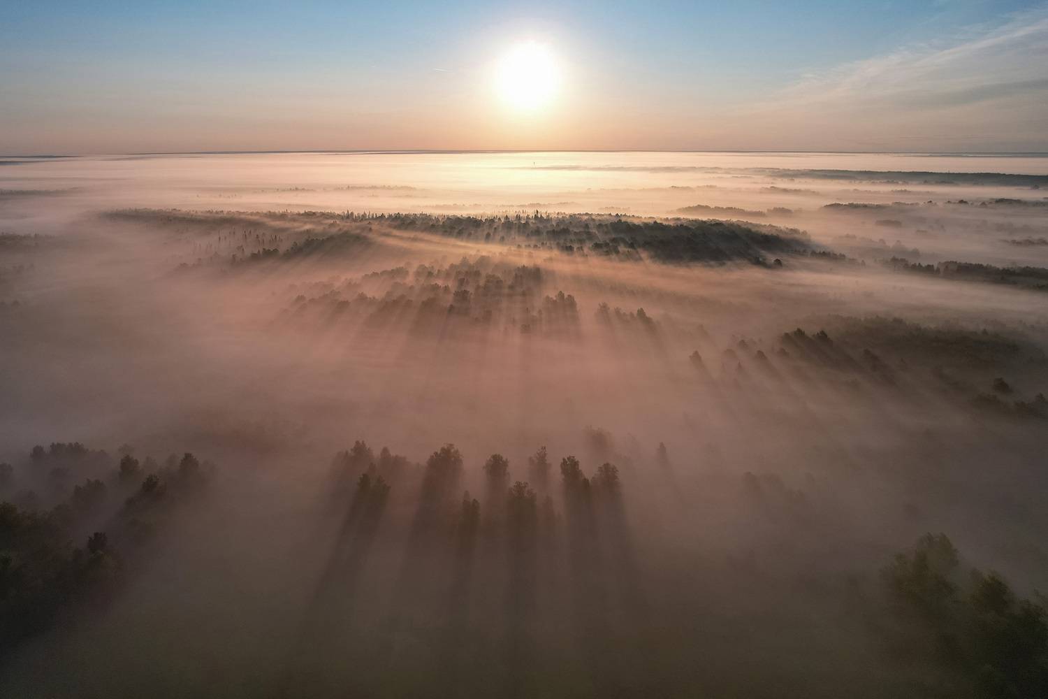 , Константин Буркин