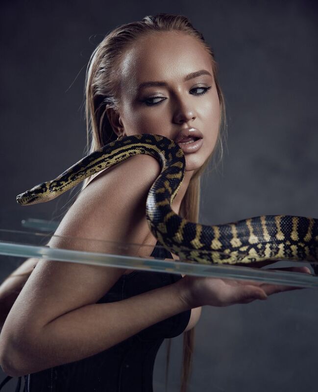 Змеи фото превью