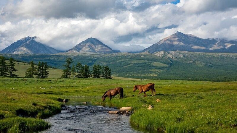 монголия, горы, лето, луг, предгорье,  озеро, лощади Друзья фото превью