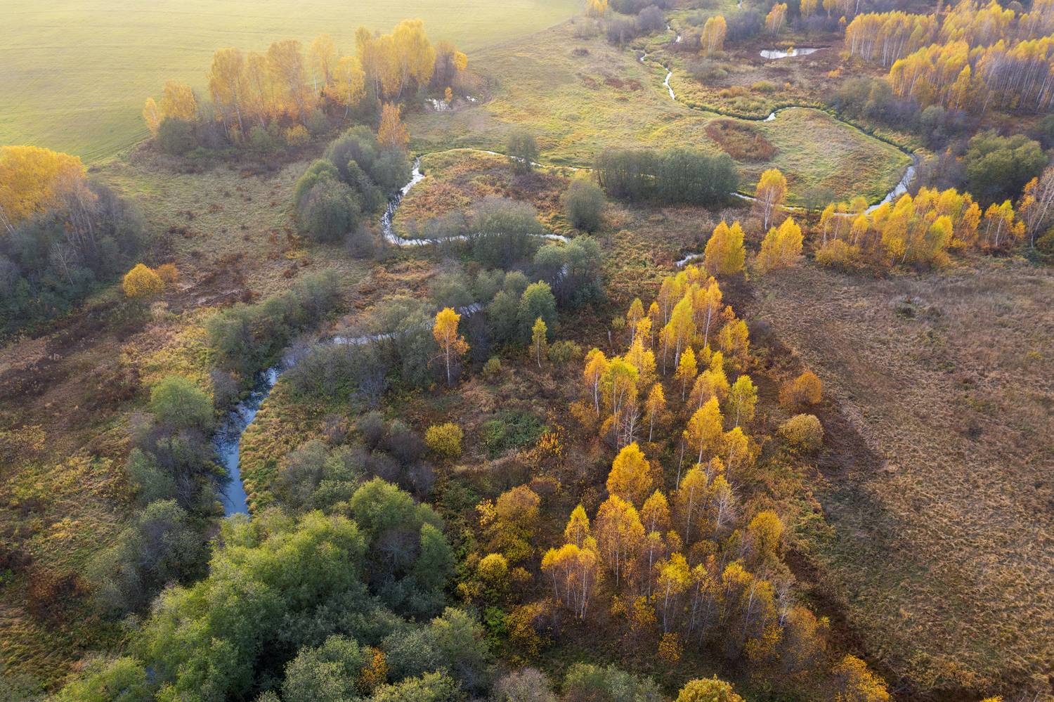 осень, россия, московская область, аэрофотосъемка, пейзаж, Олеся Боева