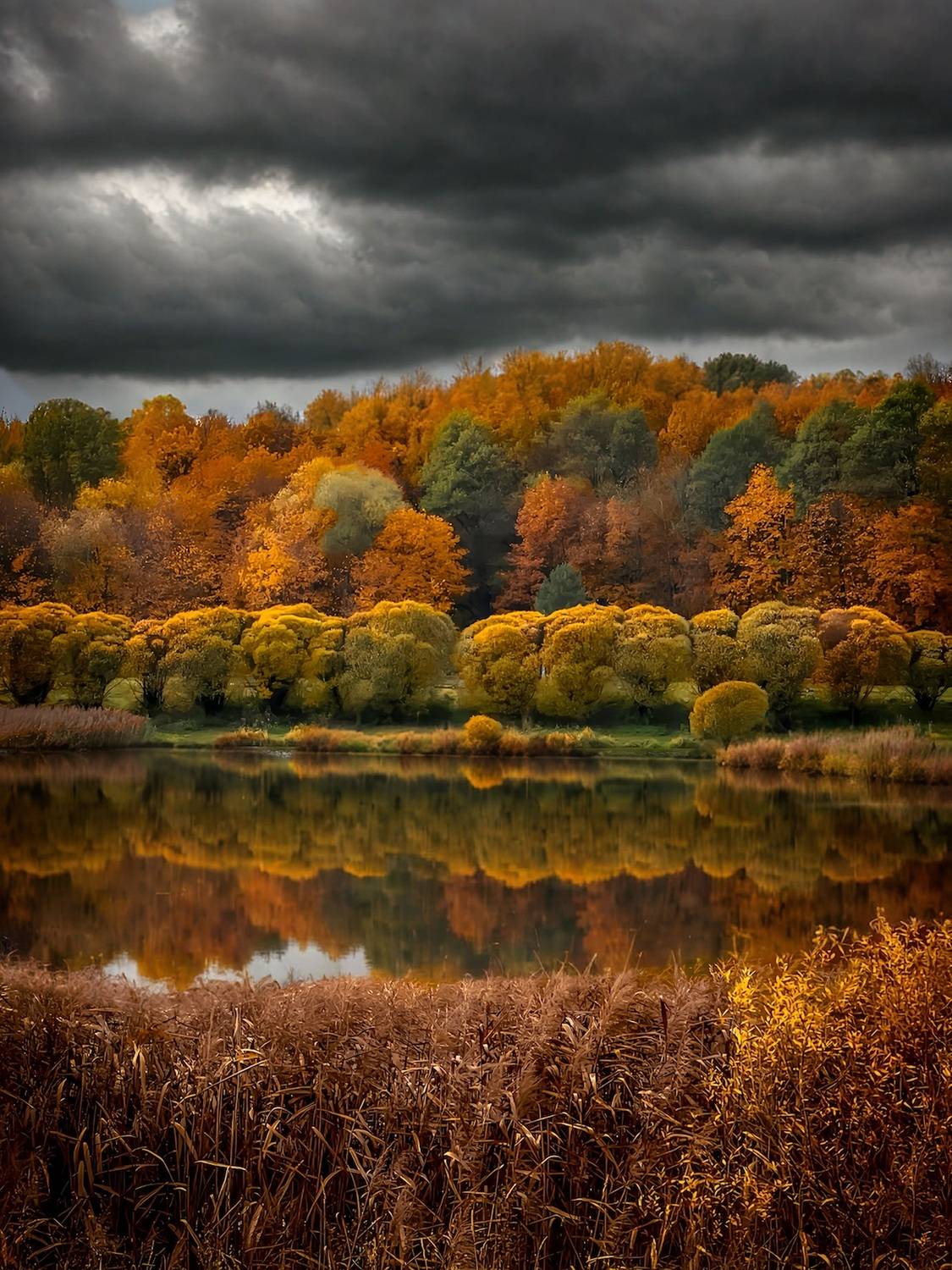 пейзаж, landscape, nature, природа, осень, autumn, золотаяосень, goldatum, пруд, Julia Kaissa