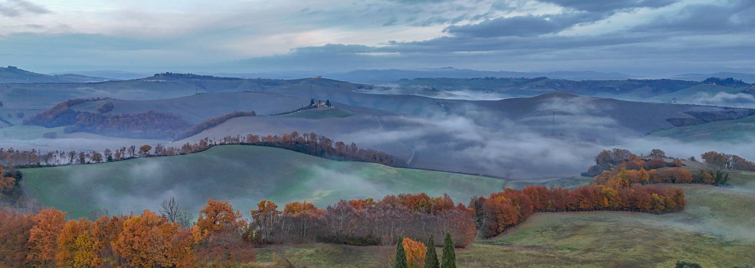 , Дария Максимова