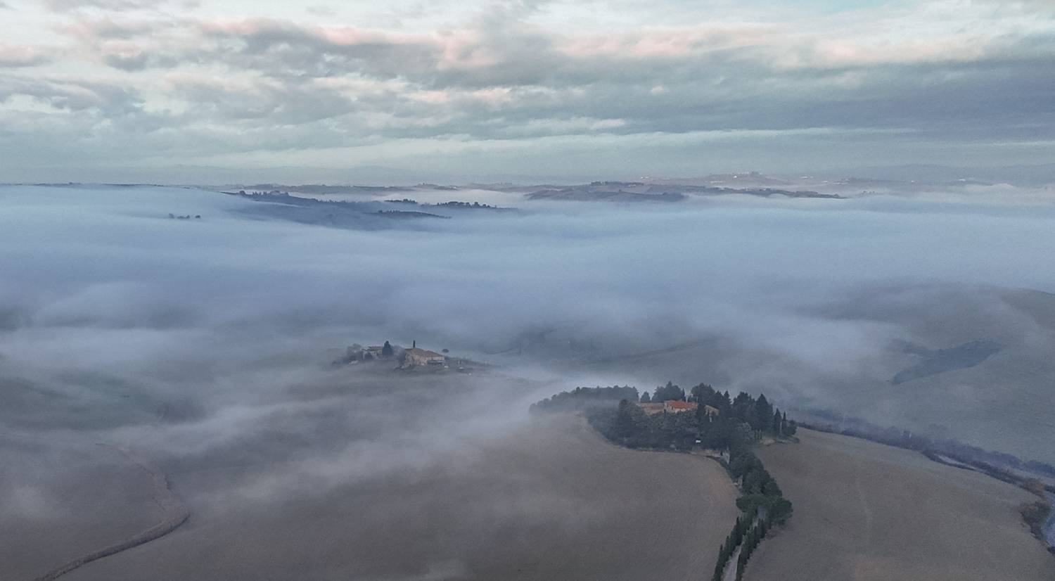 , Дария Максимова