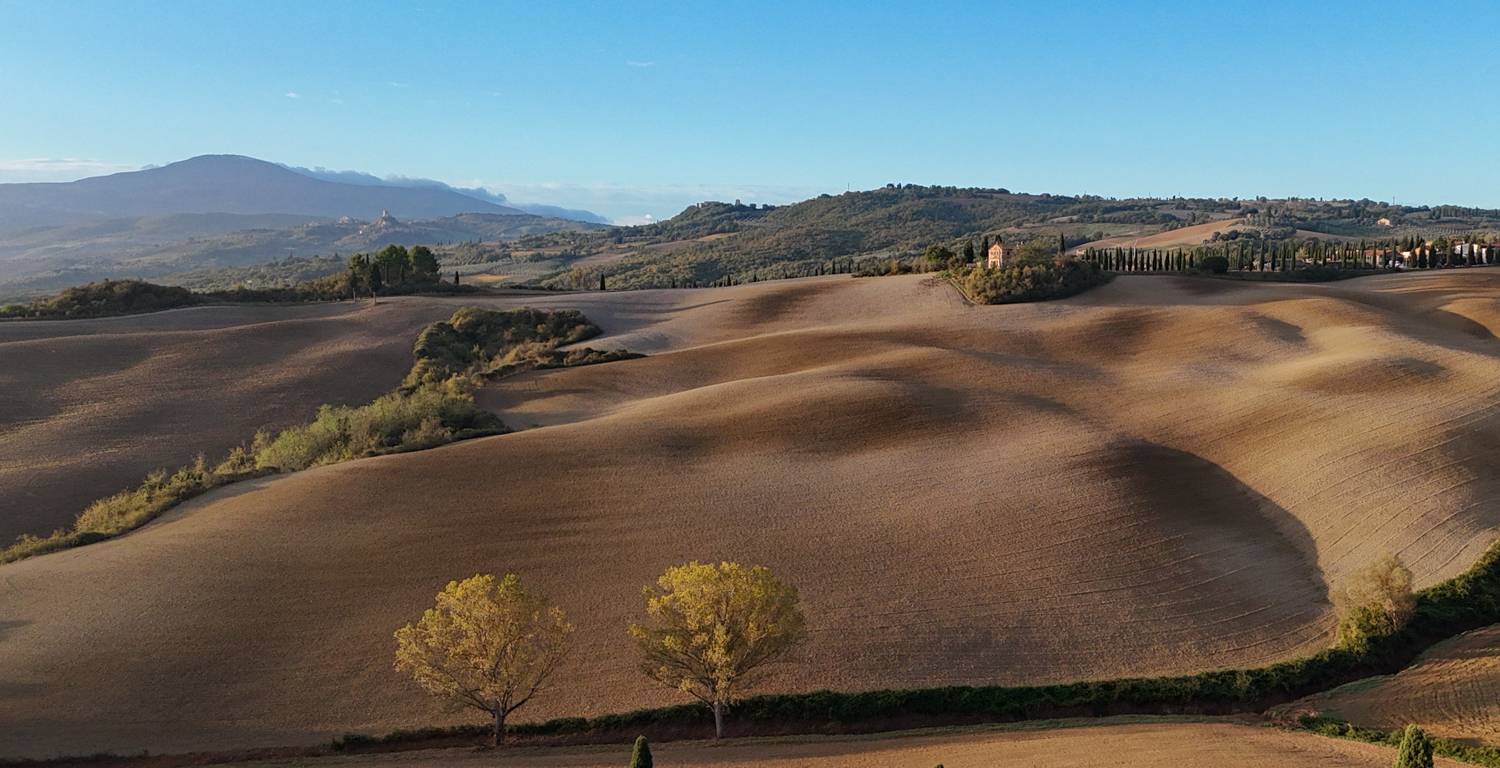 , Дария Максимова