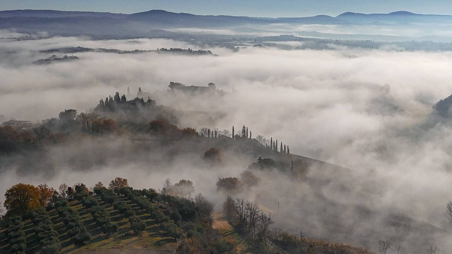 , Дария Максимова