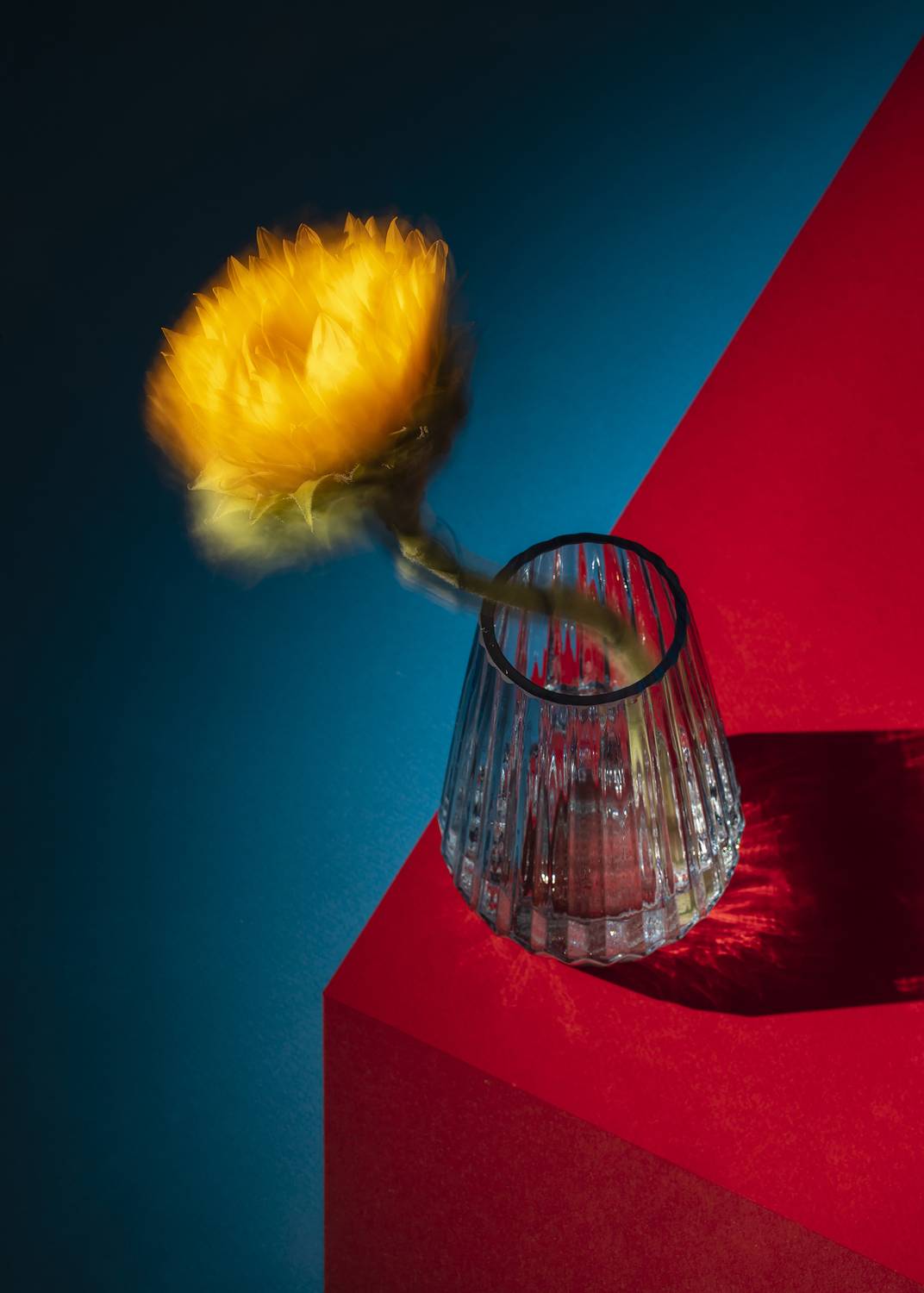 натюрморт, желтый, синий, красный, цвет, Tata Bakbak