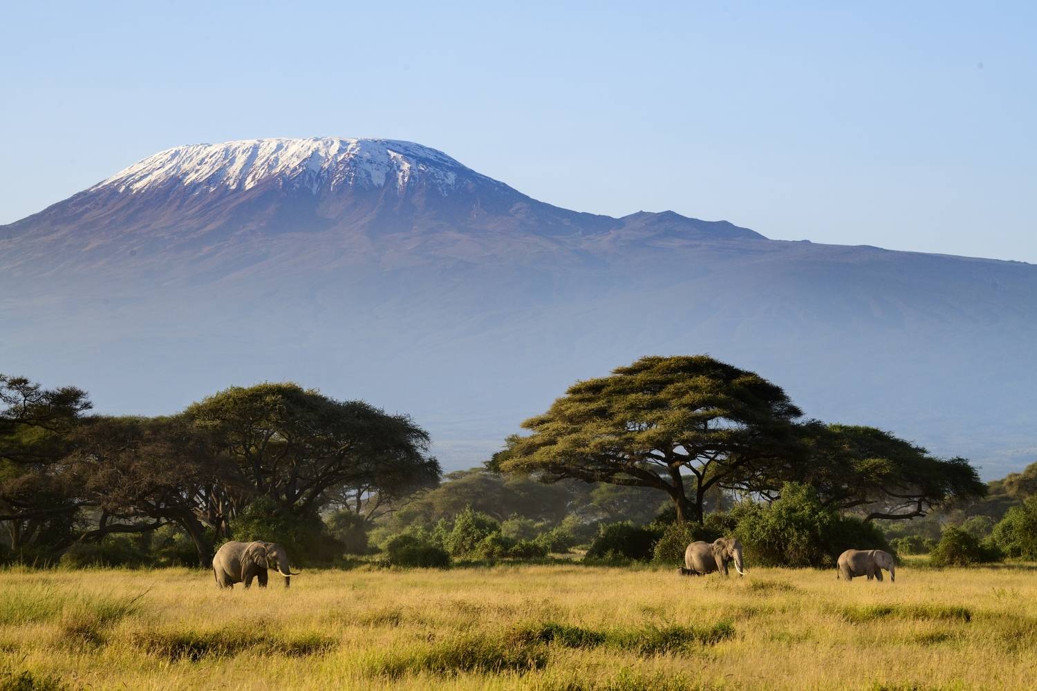 , Пупонин Сергей