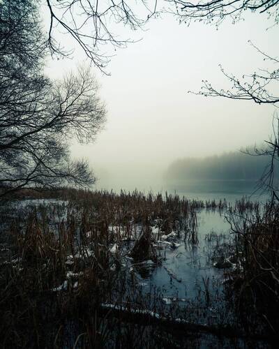 Туманный день на берегу  замёрзшей реки (7)