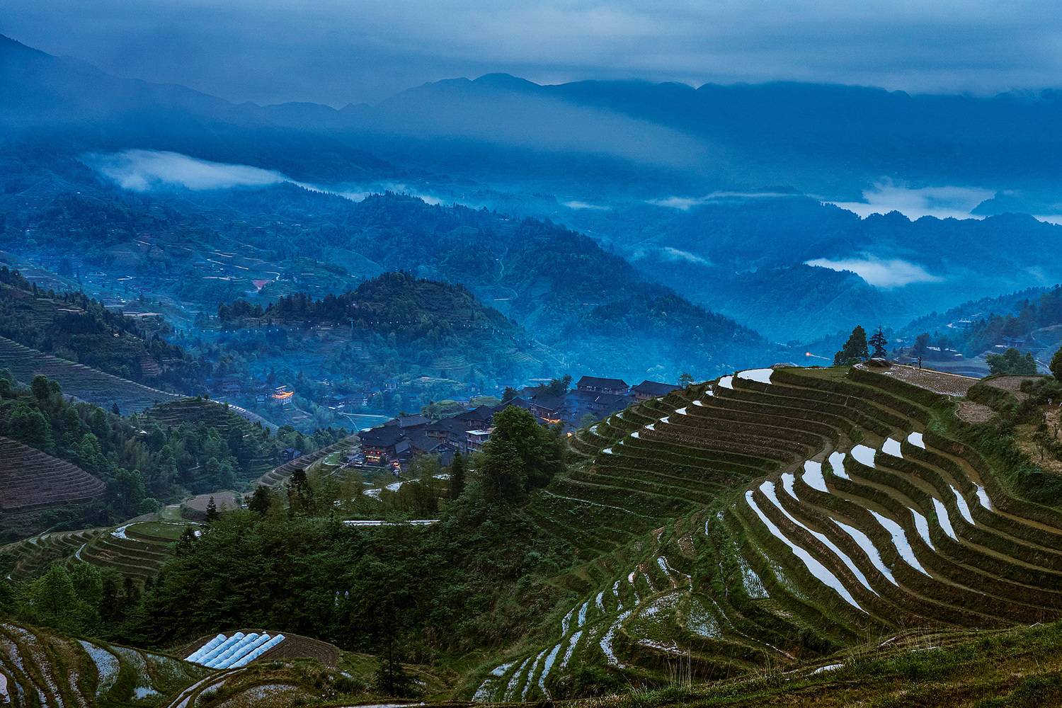 , Низовцев Сергей