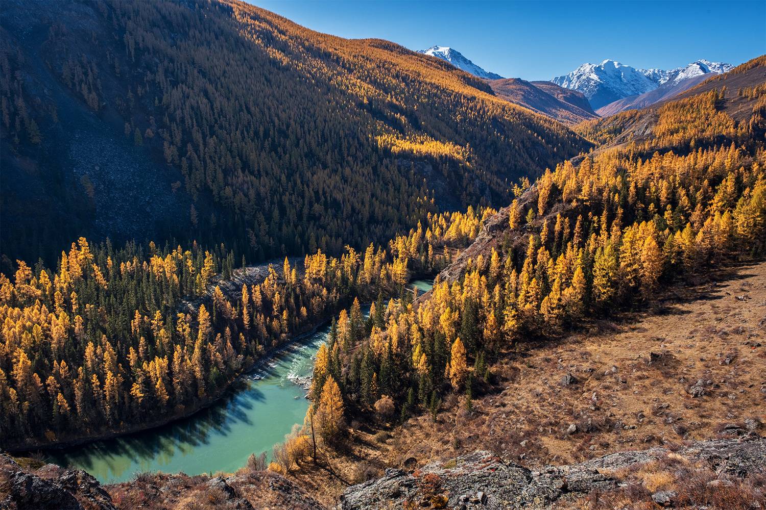 , Бодрягин Виталий