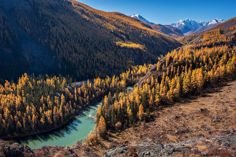 р. Чуя фото превью