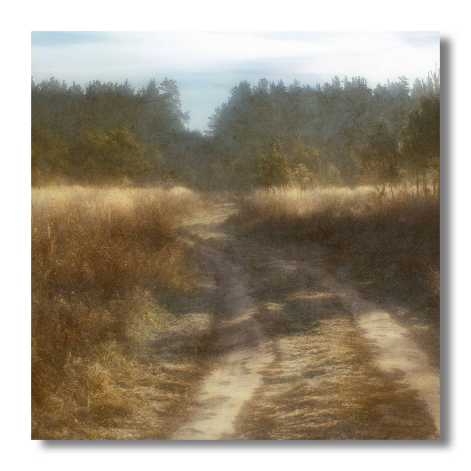 пикториализм, монокль, арт-фотография, художественная фотография, пикториальный пейзаж, пикториальная фотография, современный пикториализм, Ефимов Андрей