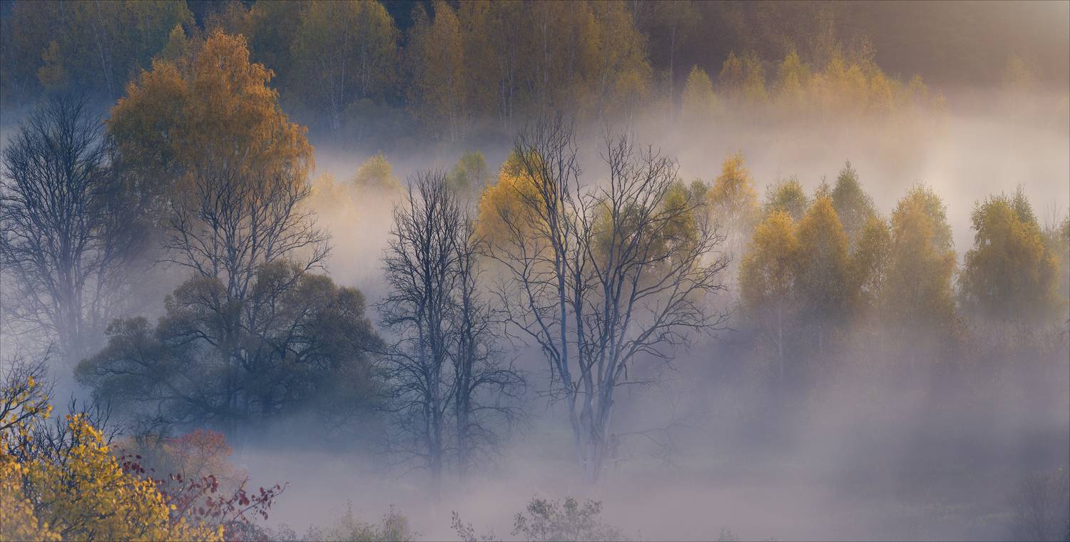 , Богорянов Алексей